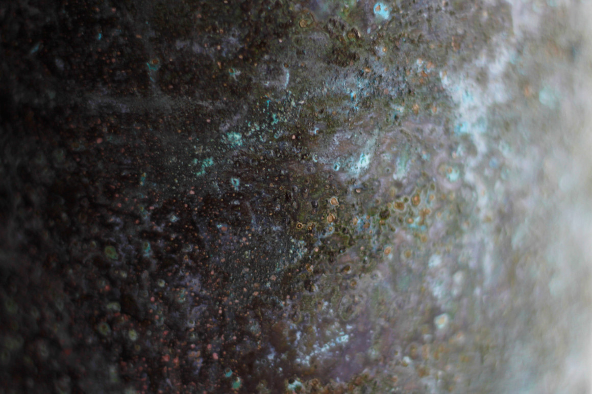 bioshade surface