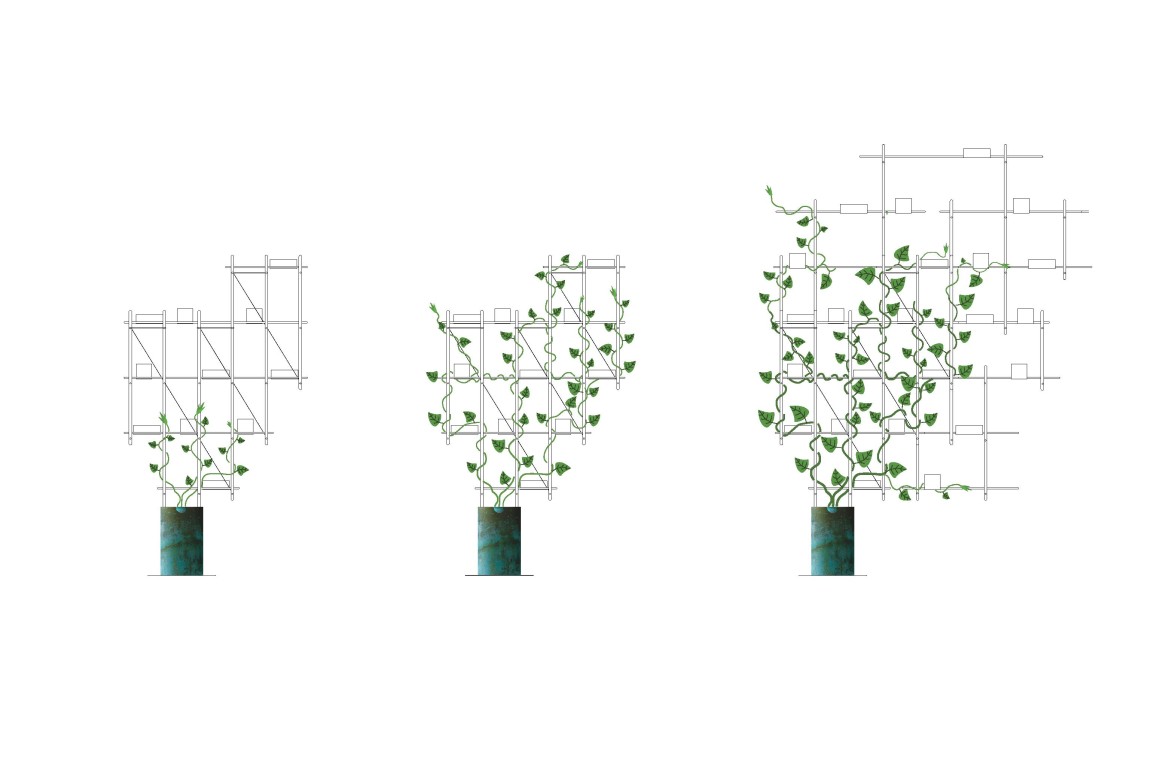 growth1